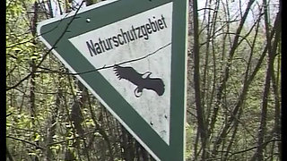 Amateur Teen From Germany Gets to Ride Cock