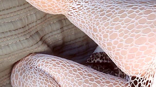 Nothing but Anal Debauchery