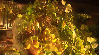 Blonde goddess gets fucked on the kitchen table