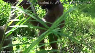 Pulled by the manmeat from one village to an other by mischievous tribe lady for bang-out on a tree