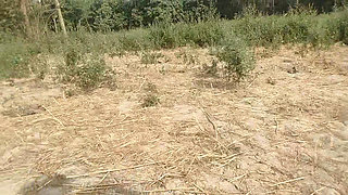 Forest public indian boy and handjob