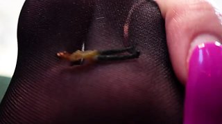 Missesdiscreets - Work Review Turned Giantess Worship