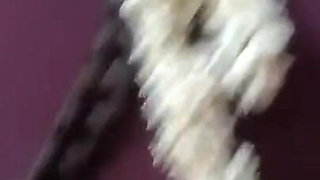 Hot Desi Sister in Law in Saree Fucking in Doggy Style& Creampied