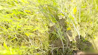 I Fuck My Little Stepsister in Field First Time