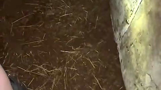 Horny Twinks Fucking outdoors raw