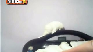 A camgirl with nice tits: Big Tits, Amateur  Babe Porn