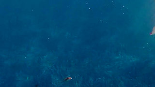 Swim, Sun and an Unexpected Orgasm in the Middle of the Sea