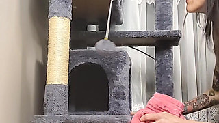 Stuck Shiloh : Cathouse Edition