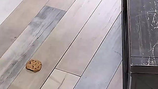 Mypervyfamily - Sneak Peek with Rissa May & Oliver Flynn!