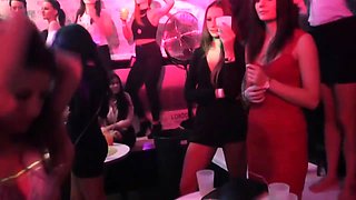 This Orgy Will Be Almost Perfect For Them