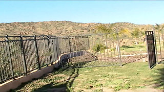 Adorable juicy love box of babe pussy waits wide open for big love stick stuff it