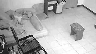 Amateur Hidden Cams Reveal Cock Riding Hoes