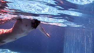 Reality european amateur sucks cock for cash outdoors