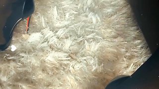 Solo Girl Free Amateur Webcam Porn Video