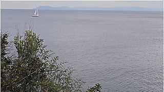 Close Up Pee From Rocky Clifs Before Going To Cold Scandinavian Beach