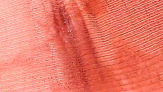 4503619