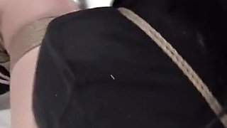 Binding Appreciation #2