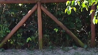 Risky Handjob for a Hot Babe in the Park!