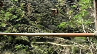 Amateur teens sucking cock outdoors and fucking