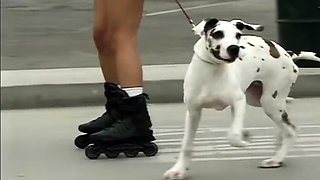 Amateur Dildo Double Penetration Sex Toy DP