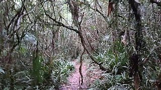 Public Forest Walk, Masturbating and Naked on Webcam