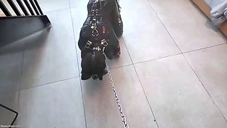 OrangeBoyS Bondage Studio A small covered in locks JiangWei,