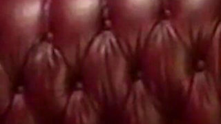 Seductive Brunette Gets Fingered and Fucked on the Couch