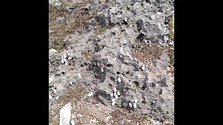 Caribbean Cruise with Sexy GILF MILF Candi Annie