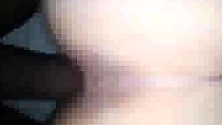 Fat white wife gets seeded by black lover for hubby ww