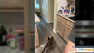 Intense solo cam all her. Have Fun With The Free live sex cam to cam