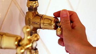 Women from the Ukraine are the hottest