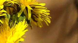 Sneeze After Sneeze and I Couldn T Stop Myself