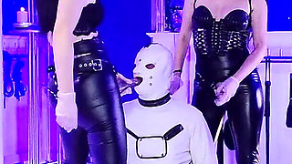 Kept Chaste for a Year and Then Ejaculated