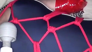 Desire Collection Ryo.r a Mature Woman with a Tasteor Intense Sensations -pt.3
