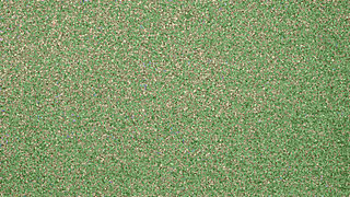 Thick BBW Wife in Lingerie in Public Hotel Parking Lot! Badblondiemonroe