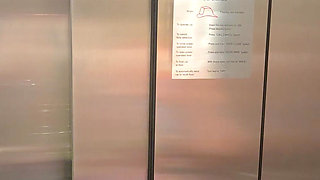 Naughty Elevator Ride Will She Get Caught?