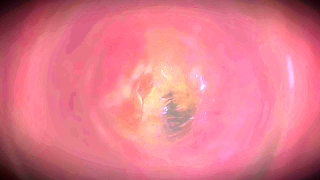 B021 Giantess Titty Fuck Farting Face Sitting Man Shrunk and Trapped in Woman's Vagina Pussy Swallowing Full Version