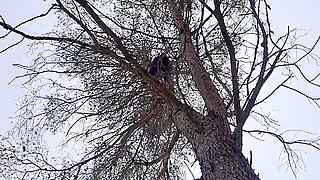 Bluesins - Bbc Content House Day 2