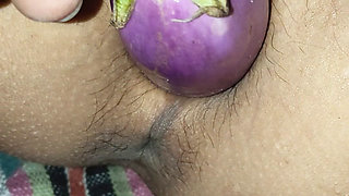 Sister-in-law Was Putting Brinjal, I Put a Penis