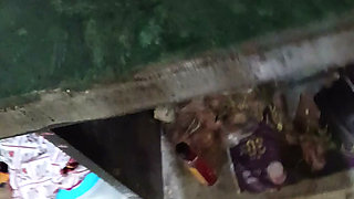 Today, in the Kitchen, Feed Rani