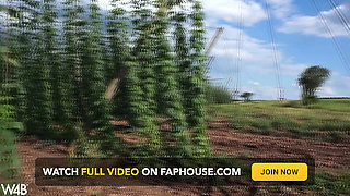 In Czech Agriculture