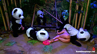 Pandamonium!!! Panda Lullaby!!! Panda Porno!!!!!