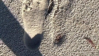Comparing Size 16 Feet to Sand Prints at the Beach