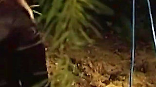 Absolute BDSM - Anal Taken Apart