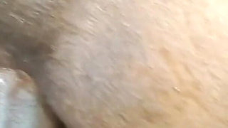 Wife Gives Her Husband a Chance to Fuck Her Ass for the First Time