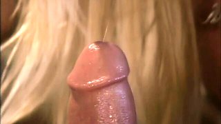 Titopia - dick delaware dirt