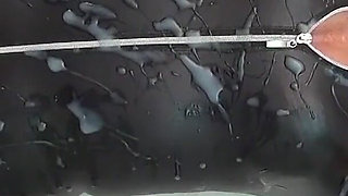 My Most Extreme Cumshots