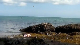 Mermaid Spotted! Wet Encounter in Lost Cove