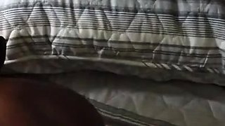 N2 The Gene Pool Black and Ebony