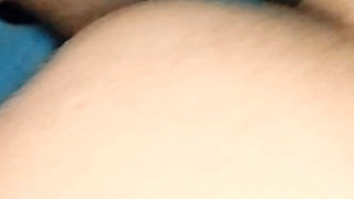 Husband and wife sex video Bangla local